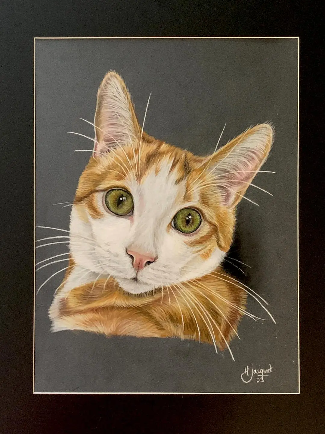 portrait de chat roux dessiné par Helene Jacquet