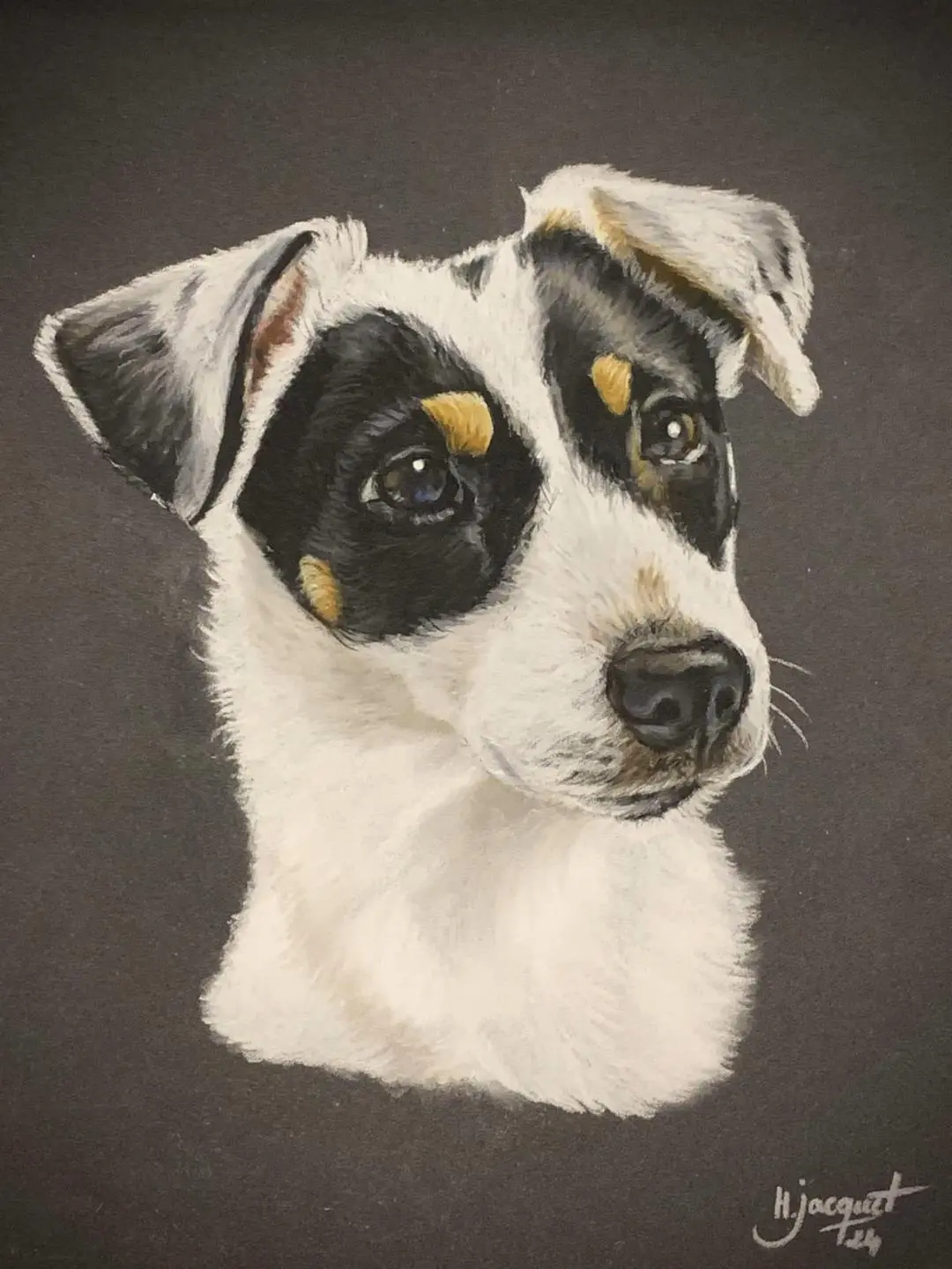 portrait de chien dessiné par Helene Jacquet portraitiste