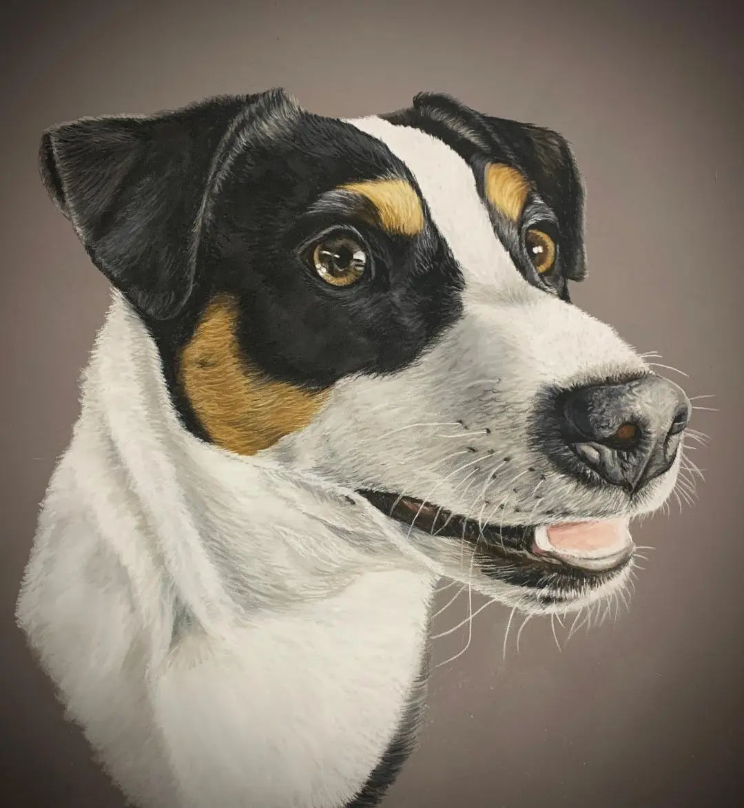 portrait de chien de chasse dessiné par Helene Jacquet